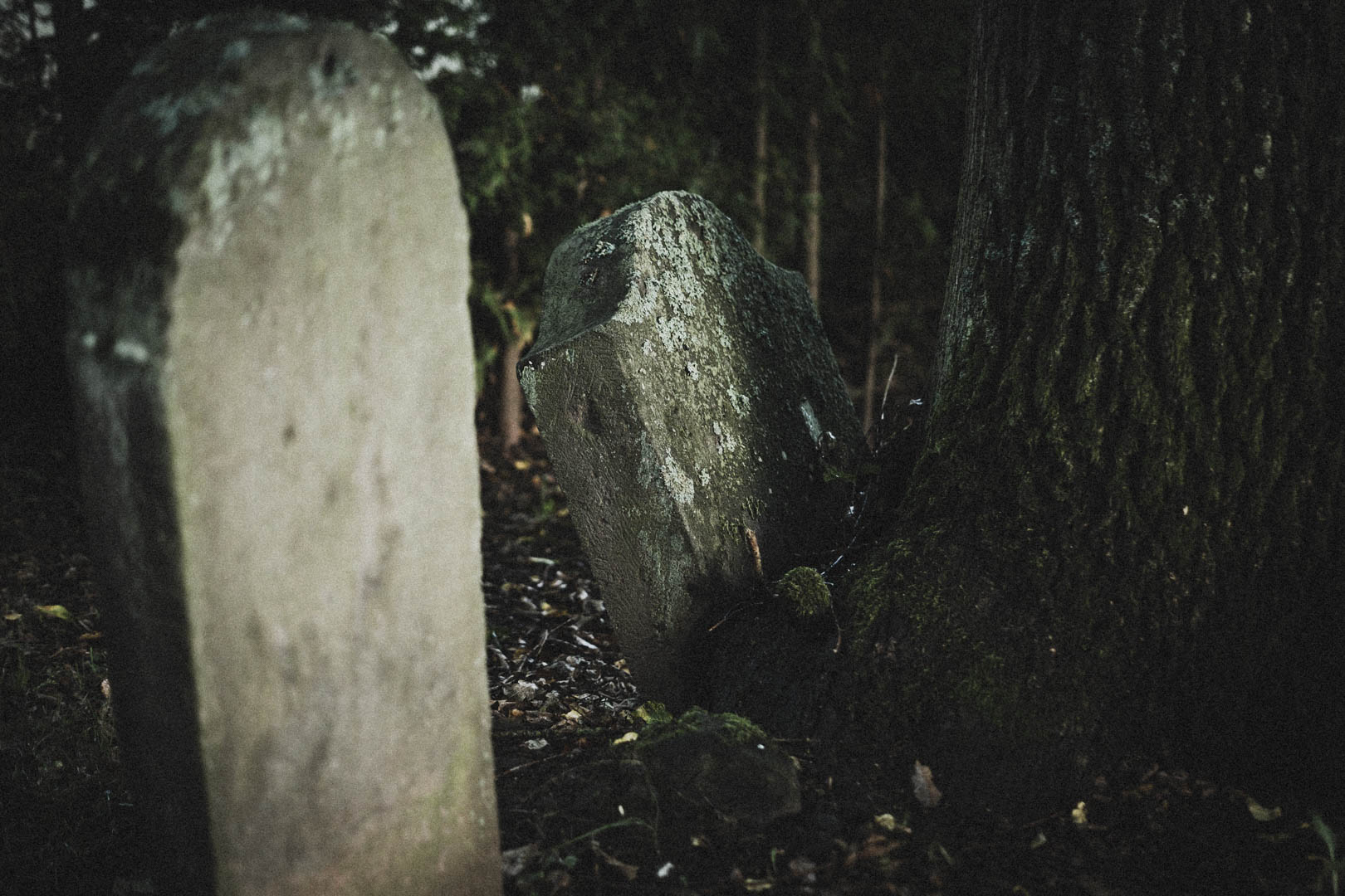 Niederaula, Jüdischer Friedhof